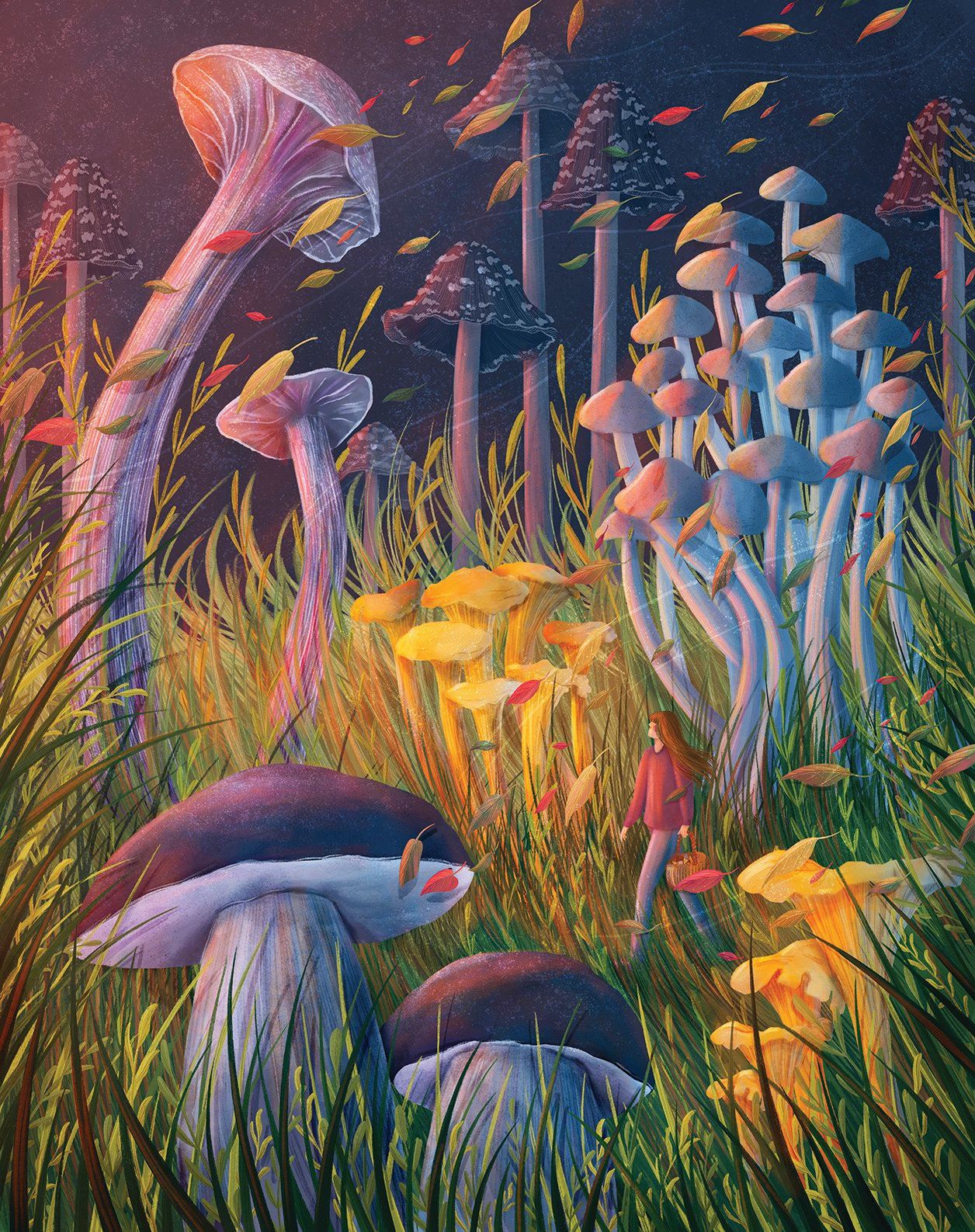 Mushrooms-IN-Article-Image1