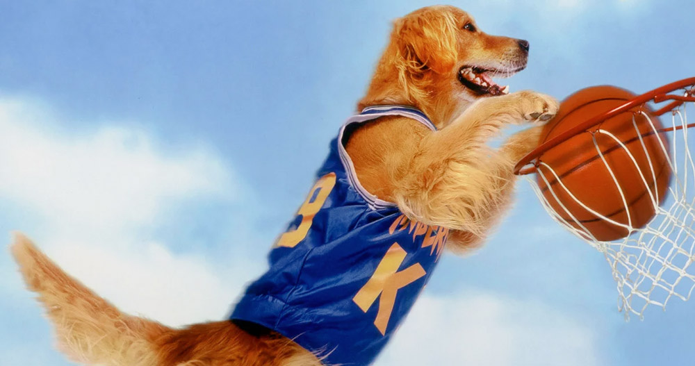 air-bud